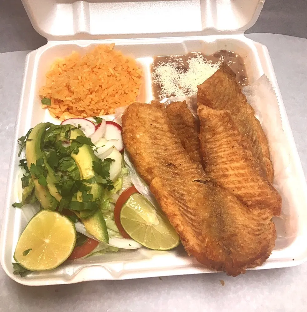 Tilapia